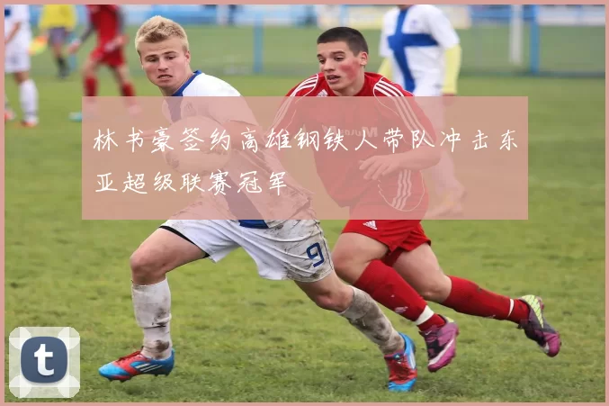 林书豪签约高雄钢铁人带队冲击东亚超级联赛冠军