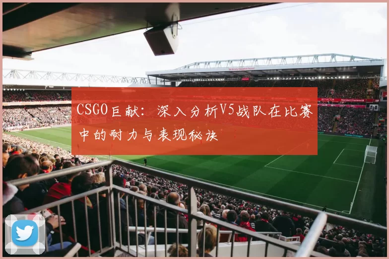CSGO巨献:深入分析V5战队在比赛中的耐力与表现秘诀