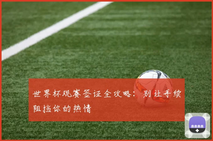世界杯观赛签证全攻略：别让手续阻挡你的热情