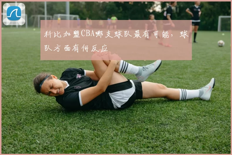 科比加盟CBA哪支球队最有可能，球队方面有何反应