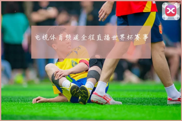 电视体育频道全程直播世界杯赛事