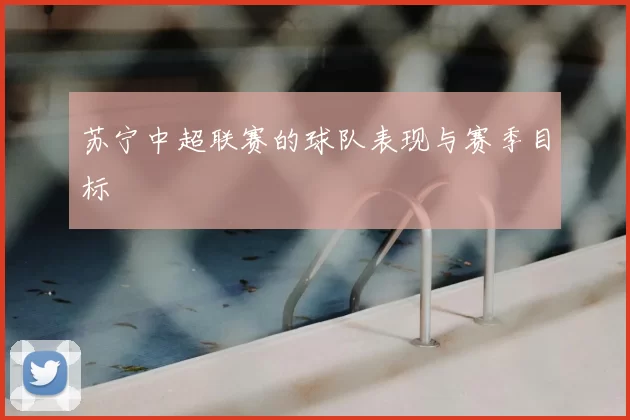 苏宁中超联赛的球队表现与赛季目标