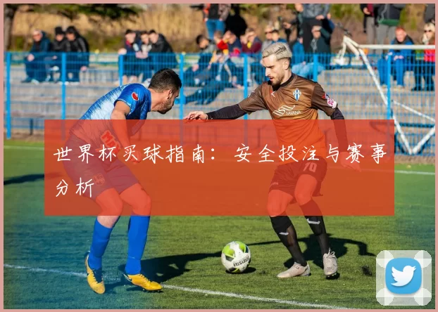 世界杯买球指南：安全投注与赛事分析