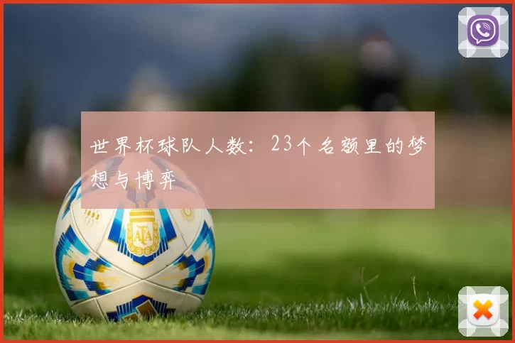 世界杯球队人数：23个名额里的梦想与博弈