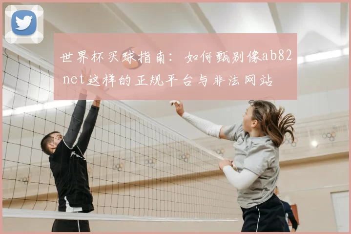 世界杯买球指南：如何甄别像ab82 net这样的正规平台与非法网站